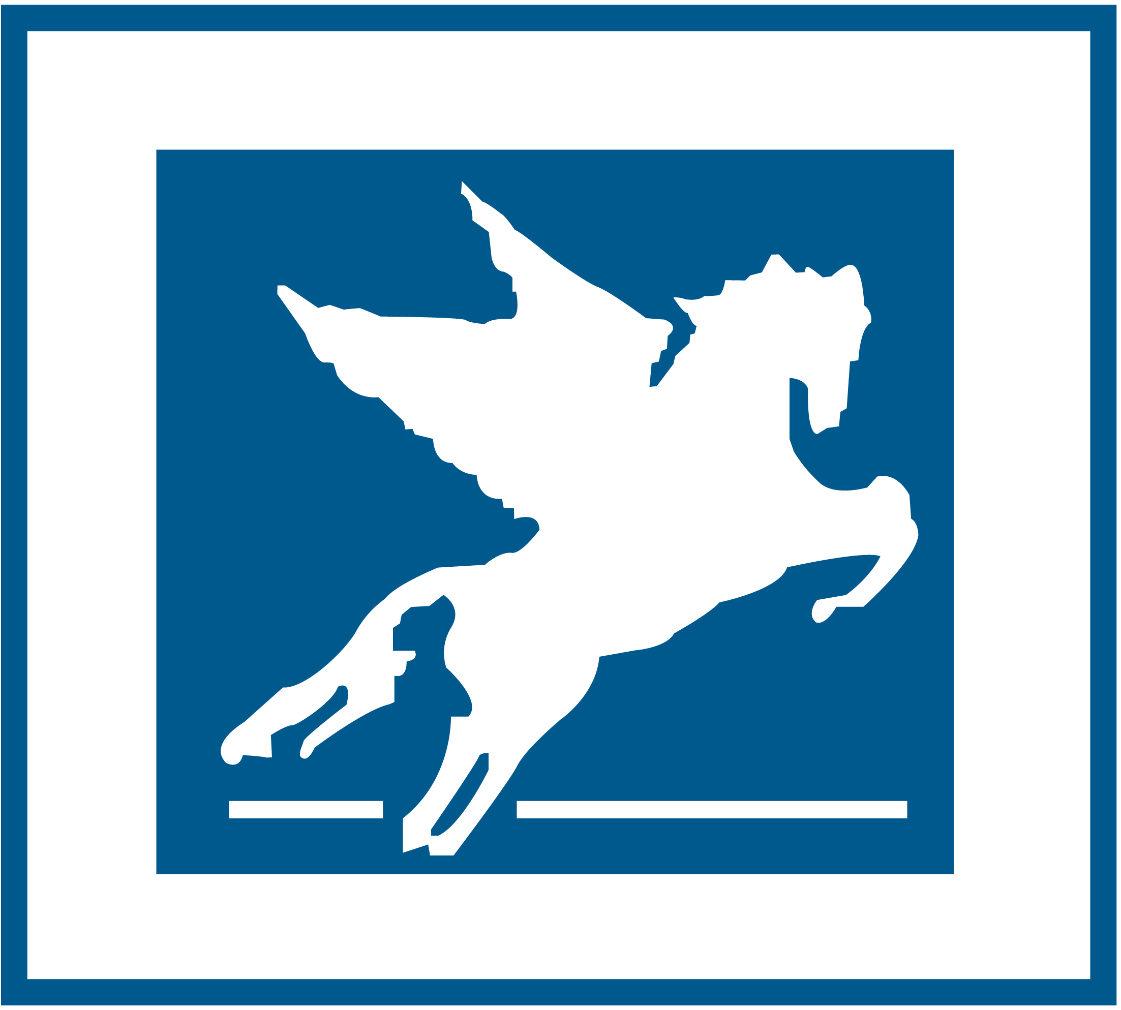 Pegasus Bau GmbH